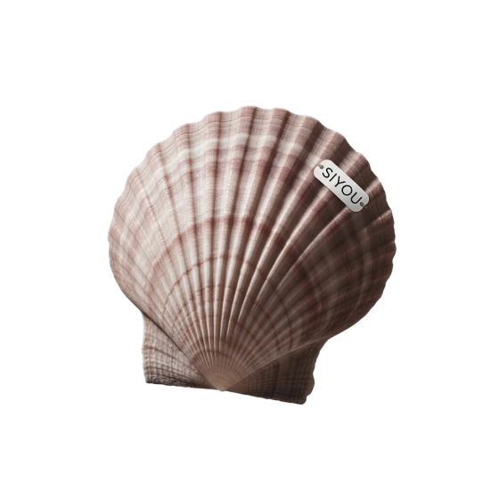 Scallop